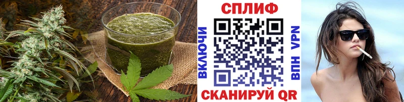 Cannafood конопля  Ессентуки 