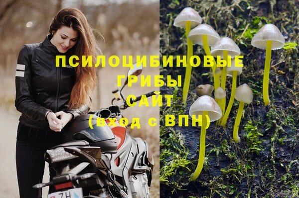 гашишное масло Инта