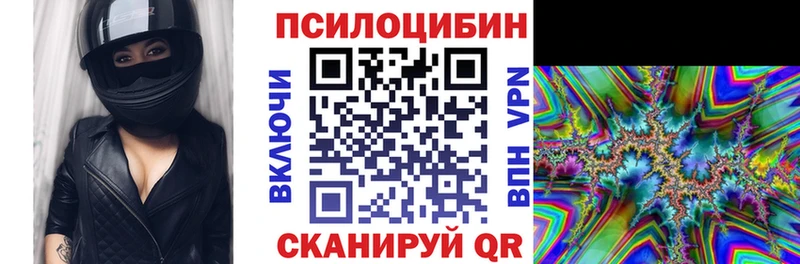 Галлюциногенные грибы Cubensis  Ессентуки 