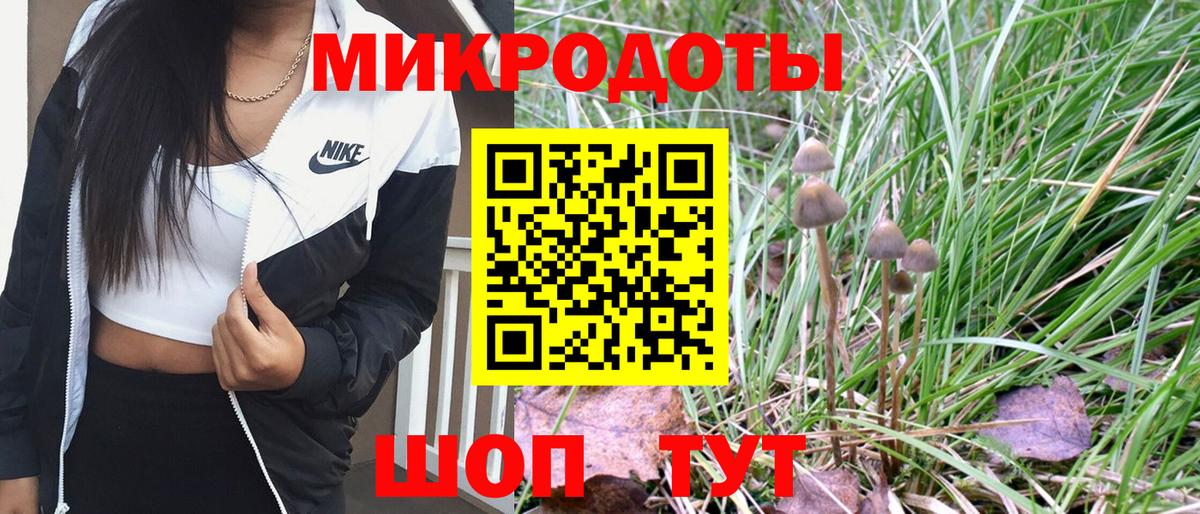 Галлюциногенные грибы GOLDEN TEACHER  Галлюциногенные грибы мухоморы  как найти закладки  Ессентуки 