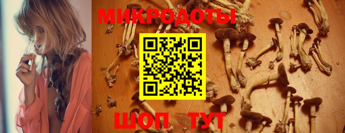 Псилоцибиновые грибы ЛСД Ессентуки