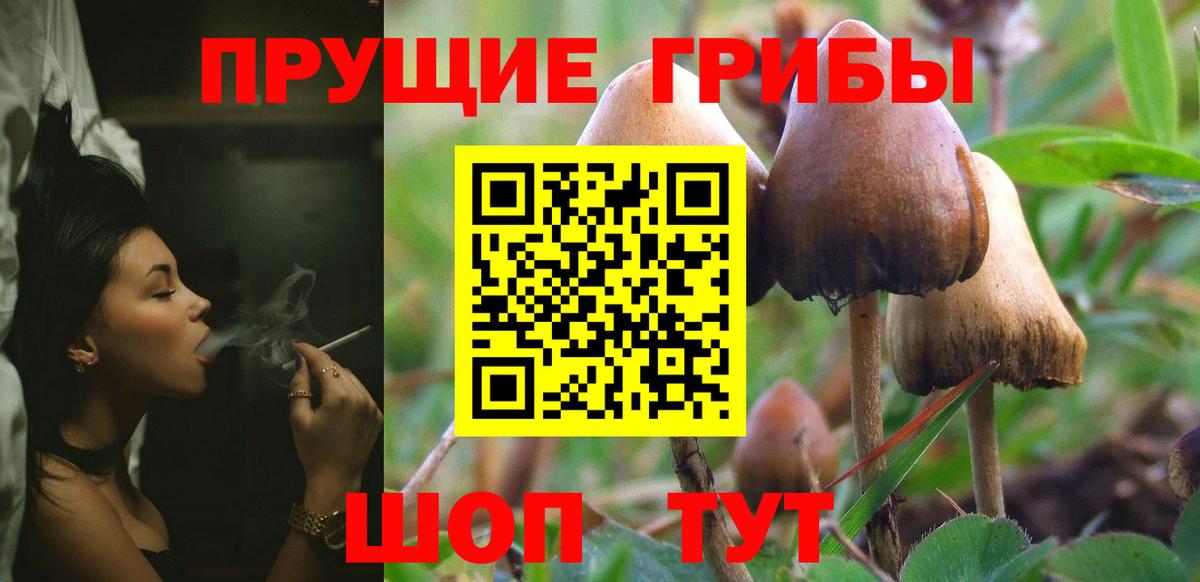 Галлюциногенные грибы GOLDEN TEACHER  Псилоцибиновые грибы MAGIC MUSHROOMS  Ессентуки  Вход с VPN 