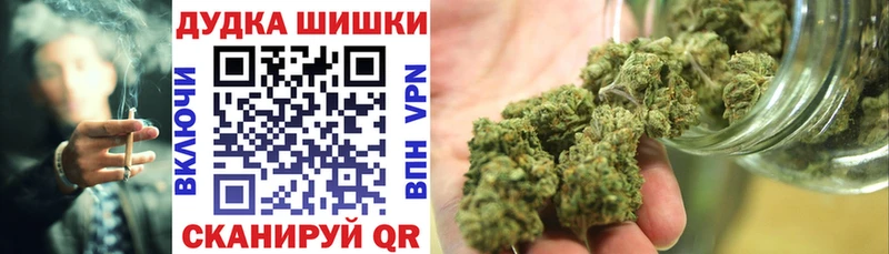 Бошки марихуана план  наркотики  Ессентуки 